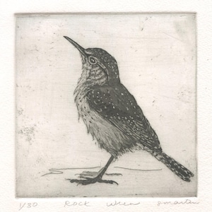 May include: A detailed etching of a Rock Wren bird, rendered in shades of gray and white. The bird is depicted in profile, with its beak pointed upwards. The artwork is signed and numbered, showcasing a fine art print.