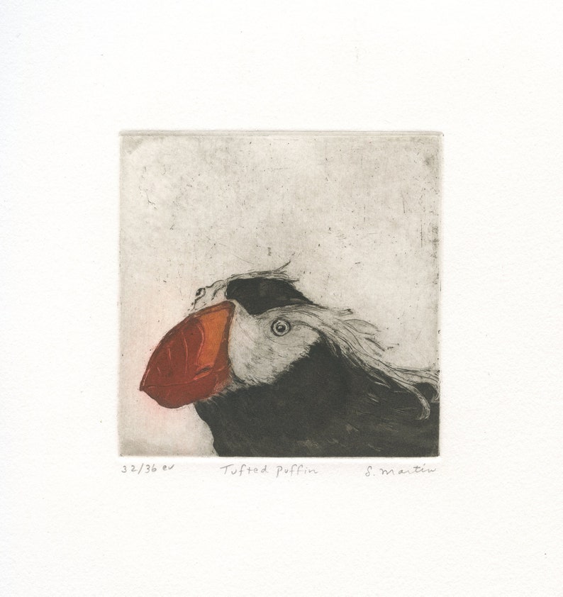 Fine Art Etching of Sea Bird Tufted Puffin