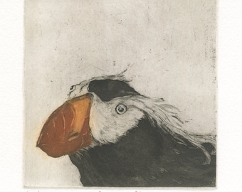 Tufted Puffin, Fine Art Etching of Sea Bird