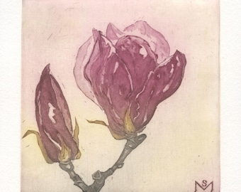 Magnolia, Original Aquatint Etching
