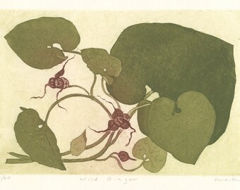 Wild Ginger Fine Art Etching