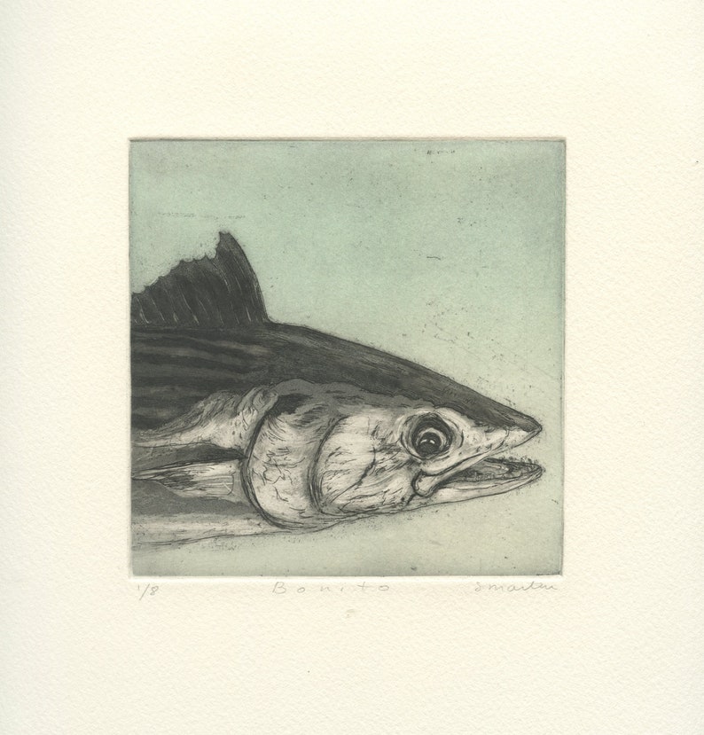 Bonito, Original Color Aquatint Etching image 3