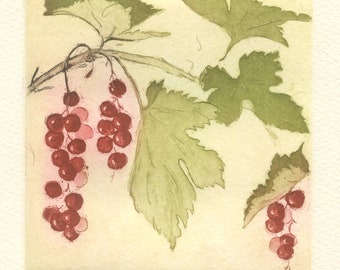 Red Currants, Original Fine Art Etching