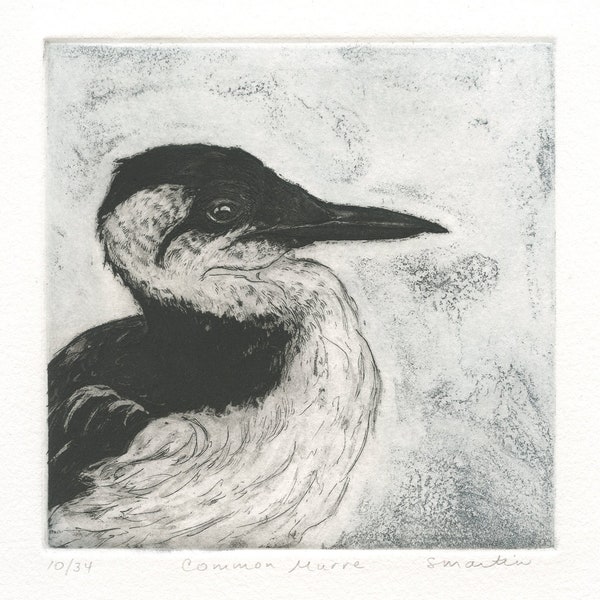 Common Murre, Original Fine Art Etching of Seabird