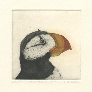 Horned Puffin, Fine Art Etching of Sea Bird image 1