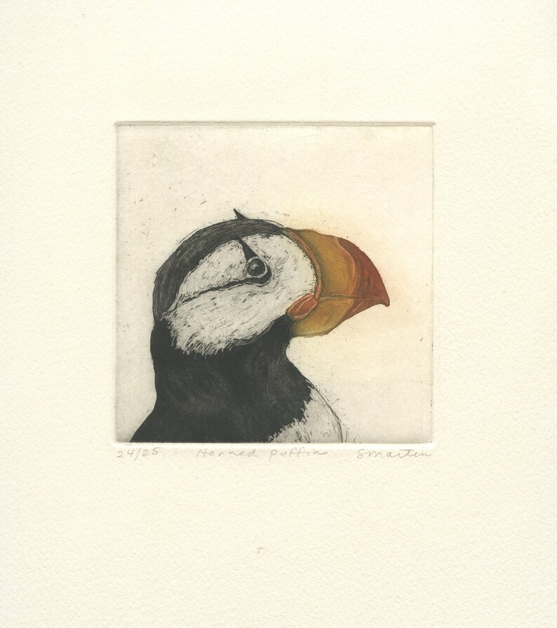 Horned Puffin, Fine Art Etching of Sea Bird image 3