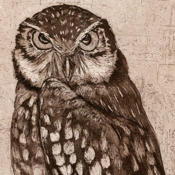 Burrowing Owl, Hand-pulled Etching