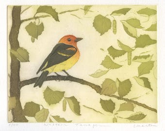 Western Tanager Original Etching (plus linocut)