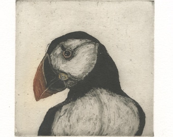 Atlantic Puffin, Original etching
