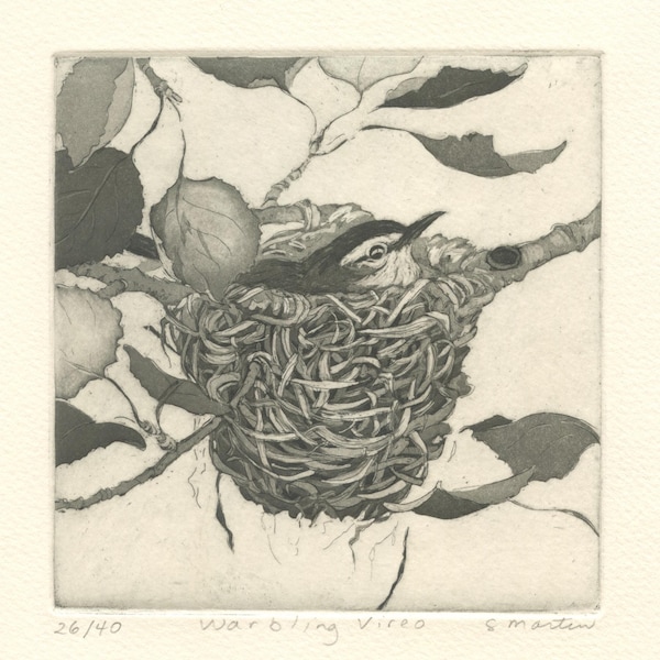 Warbling Vireo Nest, Original Fine Art Etching