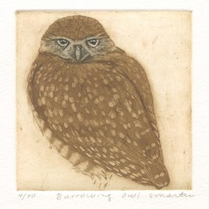 May include: A sepia-toned etching of a burrowing owl with detailed brown and cream plumage. The owl faces forward with large, focused eyes. Below the image, the text reads 4/40 Burrowing owl smarter in handwritten pencil script.