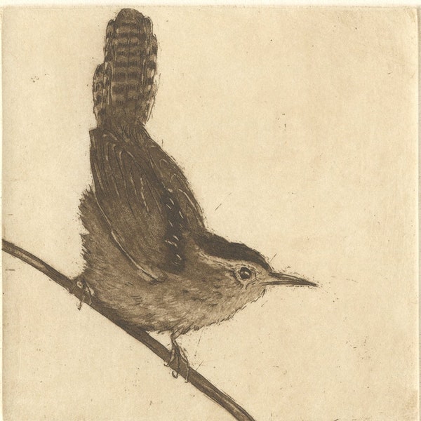 Two Wrens Diptych:  Marsh and Bewick's Wren