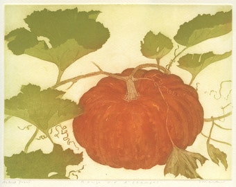 Fine Art Etching of Cinderella Pumpkin heirloom variety Rouge Vif d'Etampes