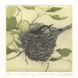 May include: A square etching print featuring a bird sitting in a woven nest nestled among green leaves on a branch. The text "1/30 Warbling Vireo IV smartin" is written in pencil at the bottom margin of the off-white paper.