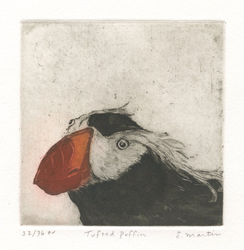 Fine Art Etching of Sea Bird Tufted Puffin