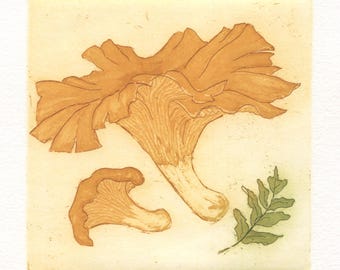 Chanterelle Original Fine Art Etching