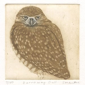 Burrowing Owl, Original Aquatint Etching