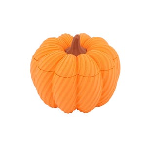 May include: An orange pumpkin-shaped container with a brown stem. The pumpkin has a textured surface with vertical ridges. The container is likely used for storage or decoration, perfect for the fall season.