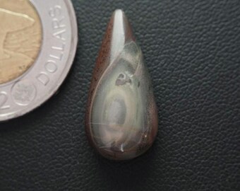 Pear Shaped Canadian Orbicular-Polychrome Jasper Cabochon