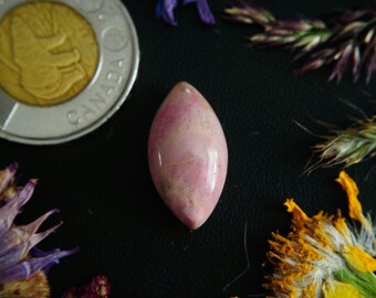 Marquise Shaped Canadian Rhodonite Cabochon