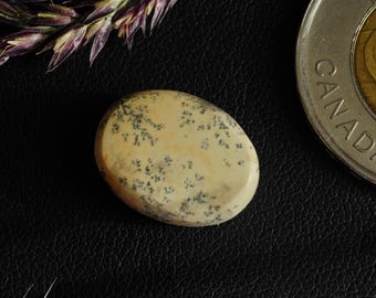 Oval Canadian Dendritic Dolomitic Limestone Cabochon