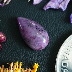 Pear Shaped Canadian Corundum Cabochon