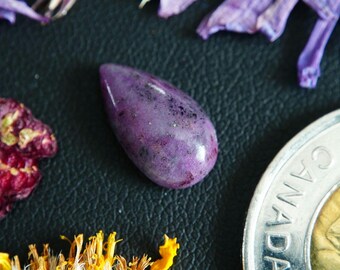 Pear Shaped Canadian Corundum Cabochon