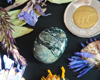 Oval Canadian Dallasite Cabochon
