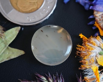 Round Canadian Dendritic Honey Agate Cabochon