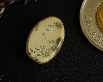 Oval Canadian Dendritic Dolomitic Limestone Cabochon