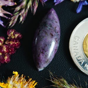Può includere: Una gemma viola lucida e allungata con inclusioni scure, forse un ciondolo o un cabochon. La pietra è circondata da fiori secchi nelle tonalità del viola, giallo e marrone e da una moneta canadese. Lo sfondo è nero.