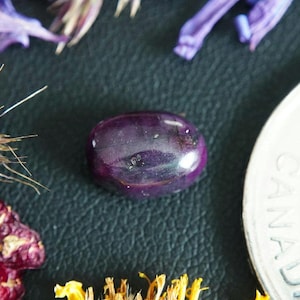 Puede incluir: Una gema pulida, de forma ovalada, de color púrpura oscuro. La piedra está rodeada de flores secas y una moneda canadiense. La gema tiene una superficie lisa y reflectante. El fondo es una superficie oscura y texturizada.