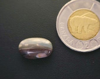 Oval Canadian Orbicular-Polychrome Jasper Cabochon
