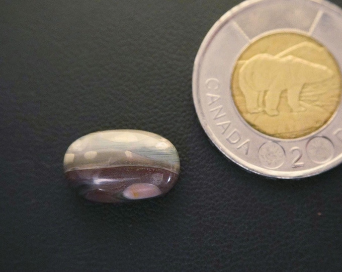 Oval Orbicular-Polychrome Jasper Cabochon