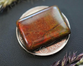 Square Ammolite Cabochon