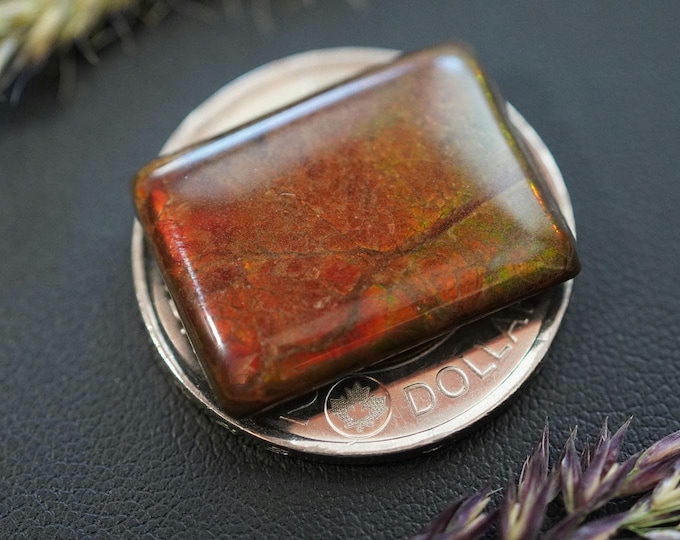 Square Ammolite Cabochon