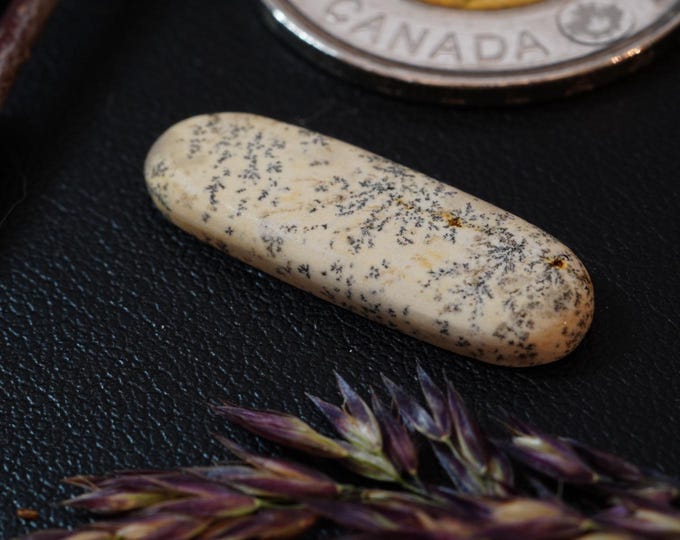 Oval Dendritic Dolomitic Limestone Cabochon