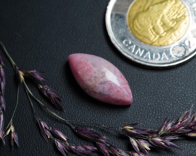 Marquise Shaped Rhodonite Cabochon