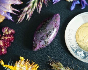 Marquise Shaped Canadian Corundum Cabochon