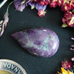 May include: A polished, teardrop-shaped gemstone in shades of purple and pale green, on a dark surface. The stone is surrounded by dried flowers in purple, red, and yellow hues, with a Canadian coin visible.