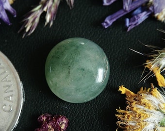 Round Canadian Serpentine (var. Antigorite) Cabochon