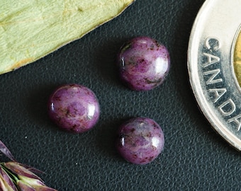 Set of 3 Canadian Corundum Cabochons