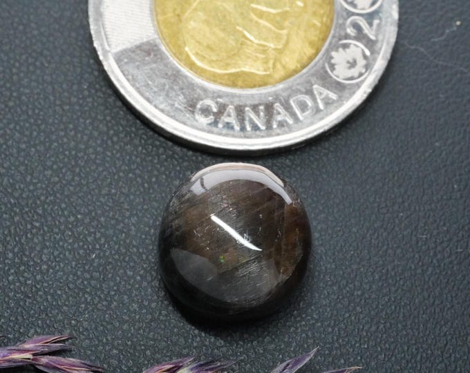 Round Cats-Eye Labradorite Cabochon