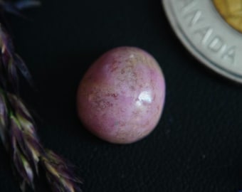 Oval Canadian Rhodonite Cabochon