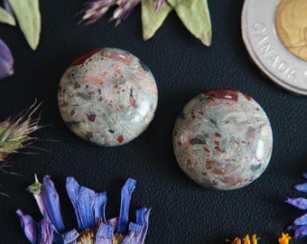 Pair of Round Canadian Jasper Breccia Cabochons