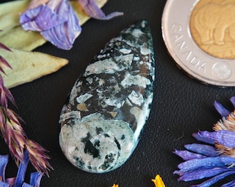 Pear Shaped Canadian Dallasite Cabochon