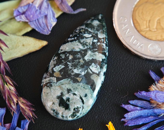 Pear Shaped Dallasite Cabochon