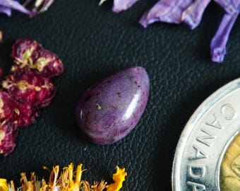 Pear Shaped Canadian Corundum Cabochon