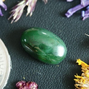 Könnte beinhalten: Ein polierter, oval geformter, tiefgrüner Edelstein. Der Stein ist von getrockneten Blumen und einer kanadischen Münze umgeben. Die glatte Oberfläche des Edelsteins reflektiert das Licht und hebt seine satte Farbe und natürlichen Variationen hervor.