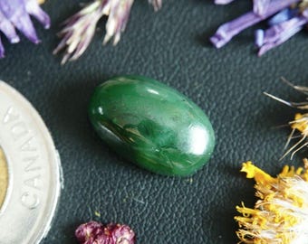 Oval Canadian Serpentine (var. Antigorite) Cabochon